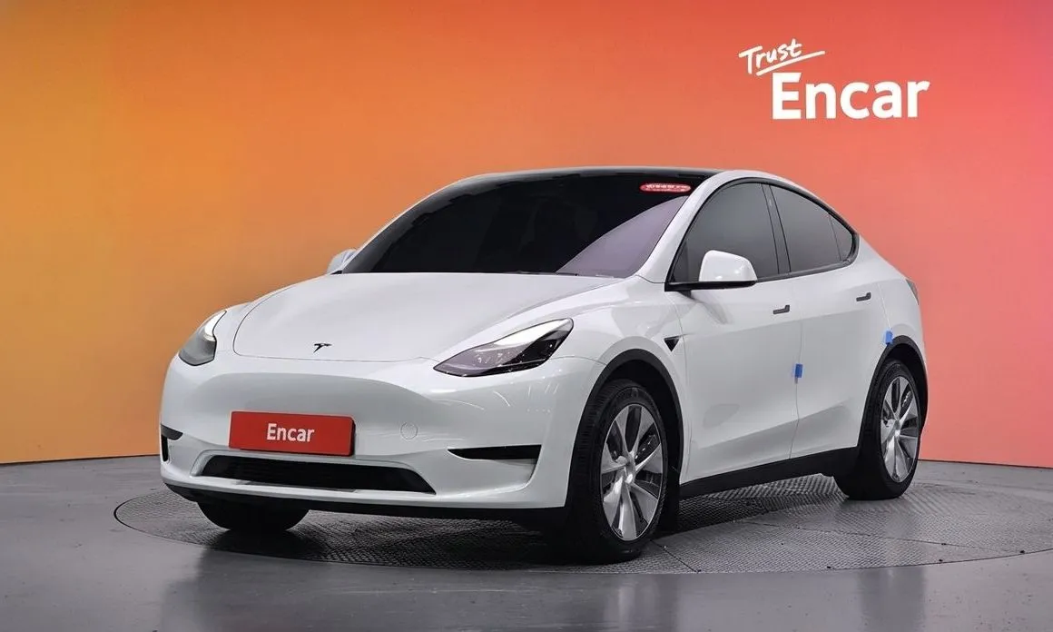 Tesla Model Y — фото 1