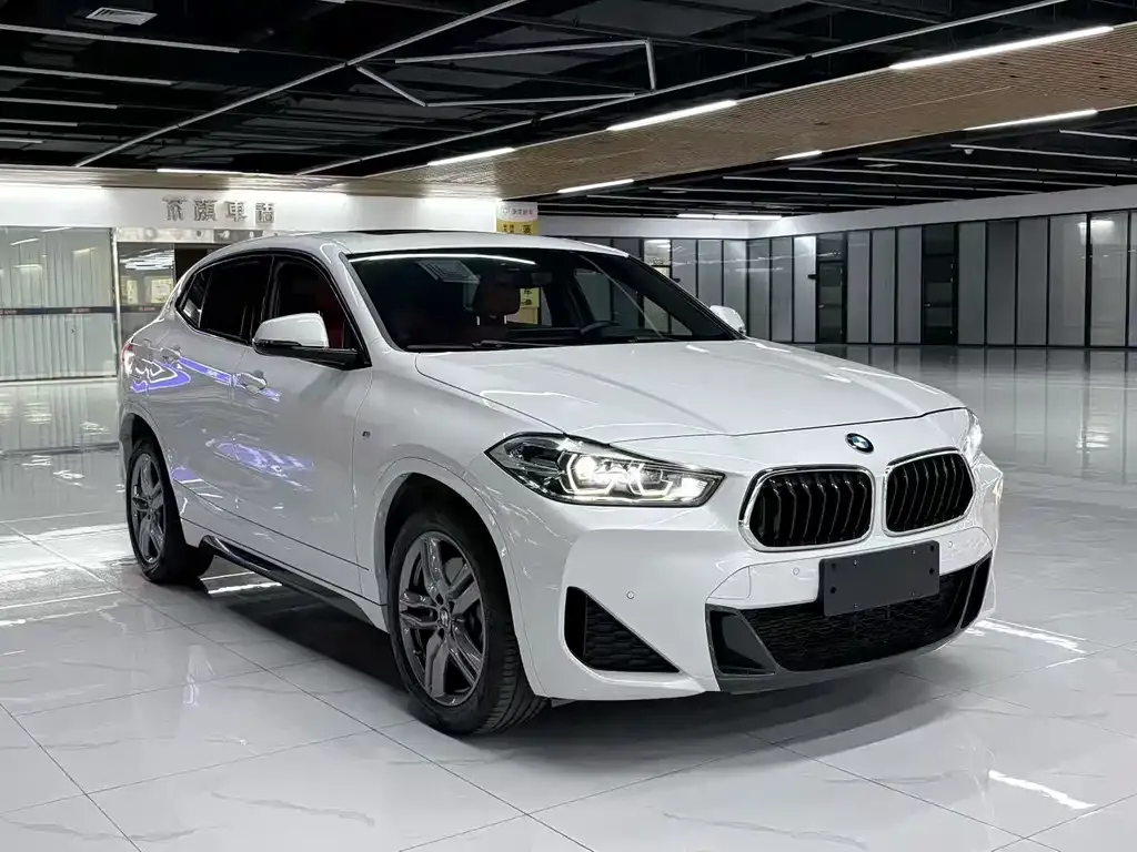 BMW X2 — фото 4