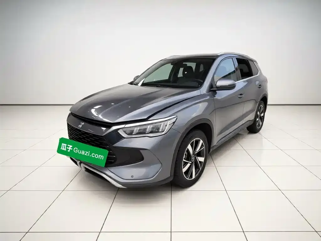 BYD Pro New Energy — фото 1