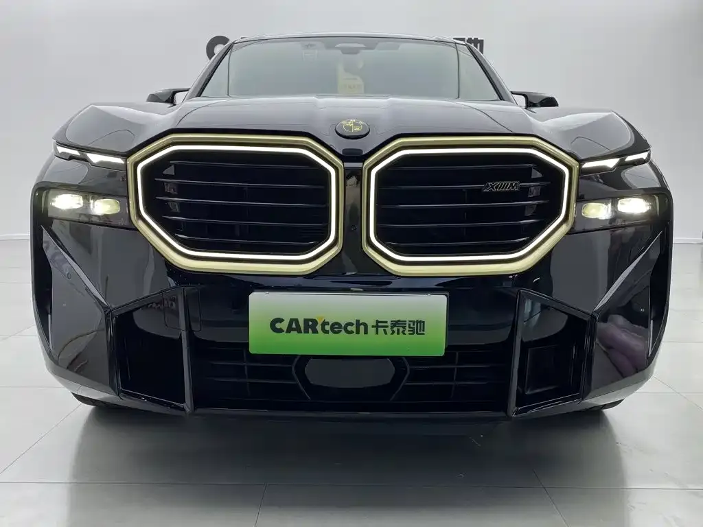 BMW XM — фото 8