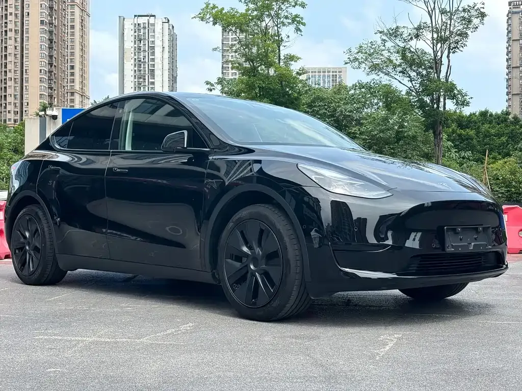 Tesla Model Y — фото 10