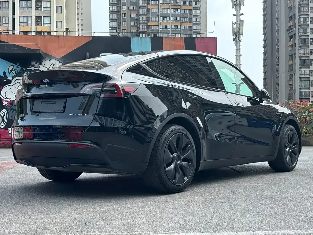 Tesla Model Y — фото 9