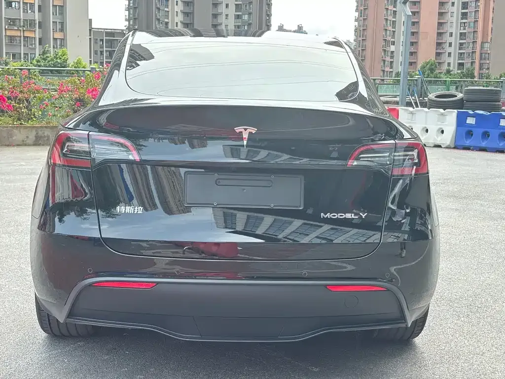 Tesla Model Y — фото 8