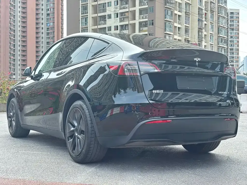 Tesla Model Y — фото 3