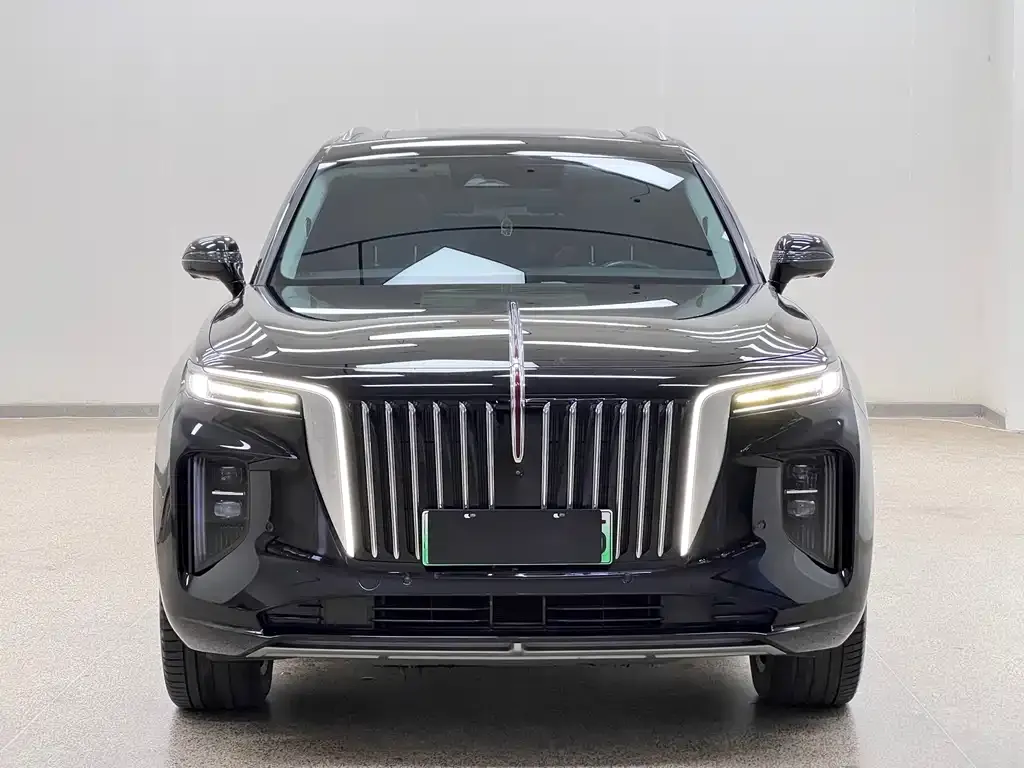 Hongqi E-HS9 — фото 4