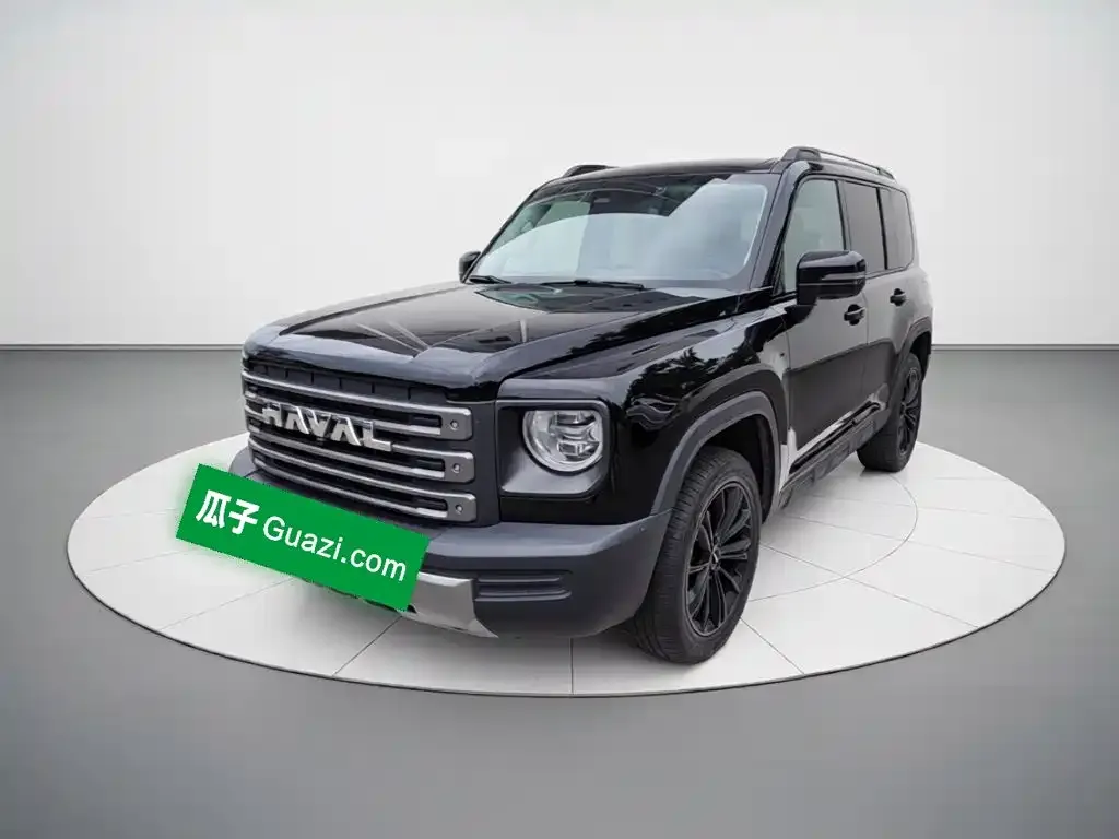 Haval Menglong New Energy — фото 1