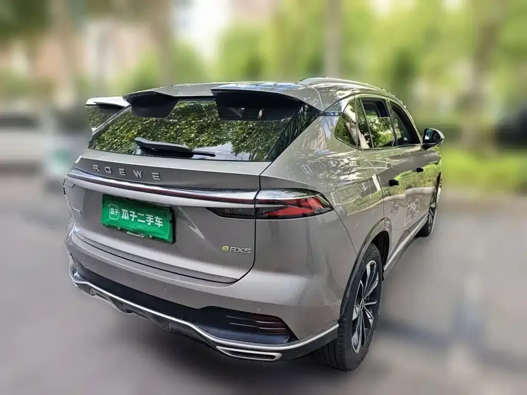 Roewe RX5 New Energy — фото 5