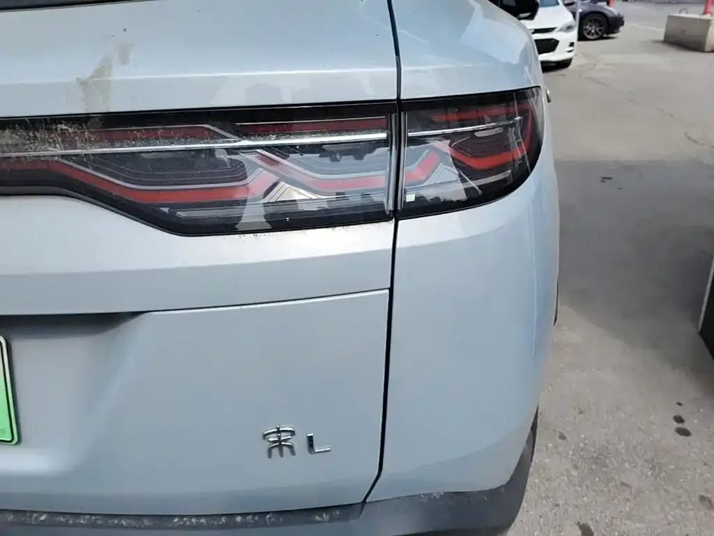 BYD L DM-i — фото 6