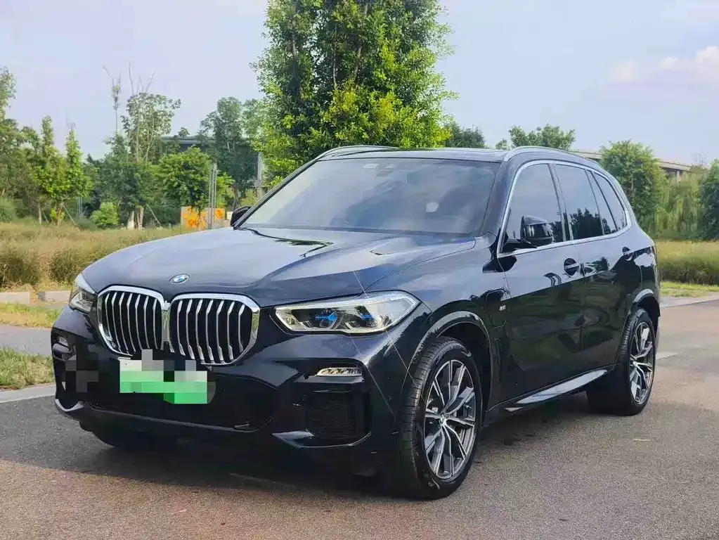 BMW X5 New Energy (Import) — фото 1