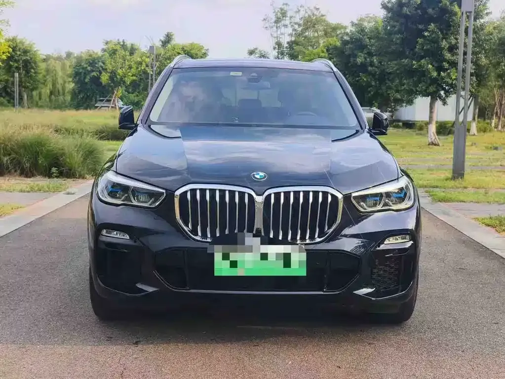 BMW X5 New Energy (Import) — фото 5