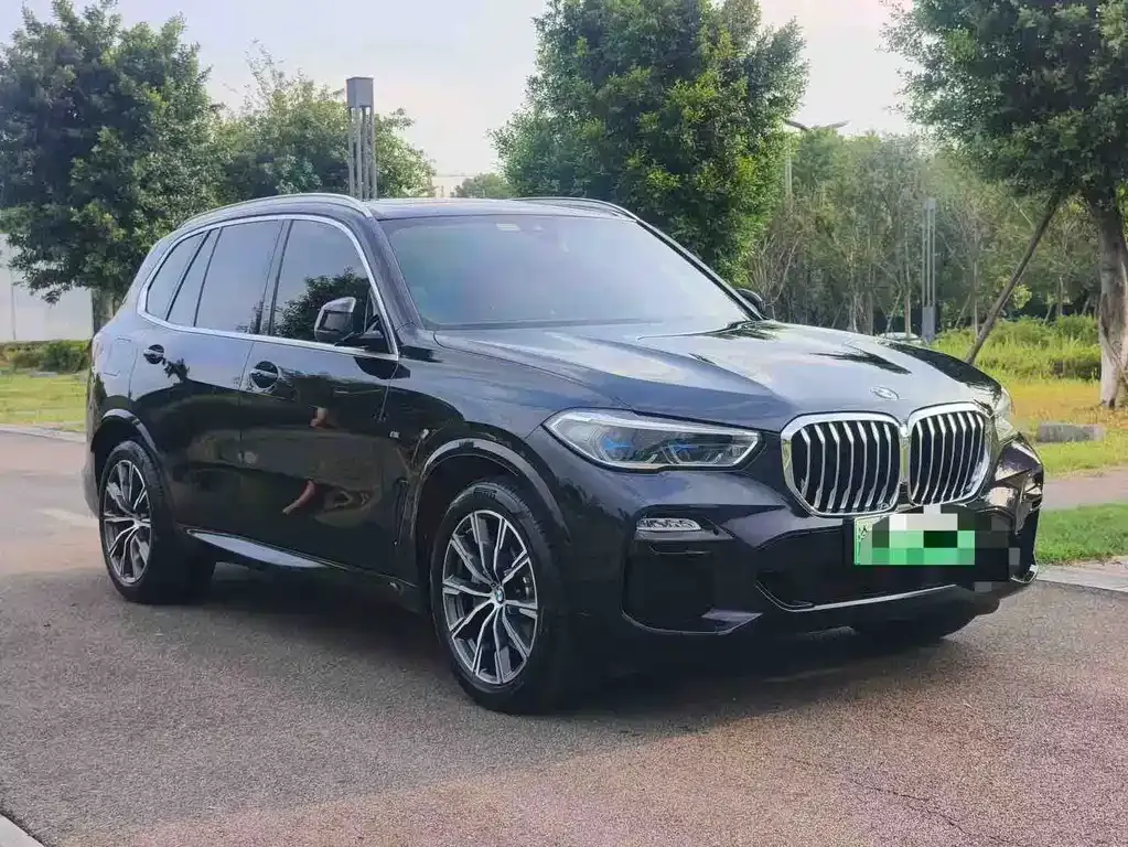 BMW X5 New Energy (Import) — фото 6