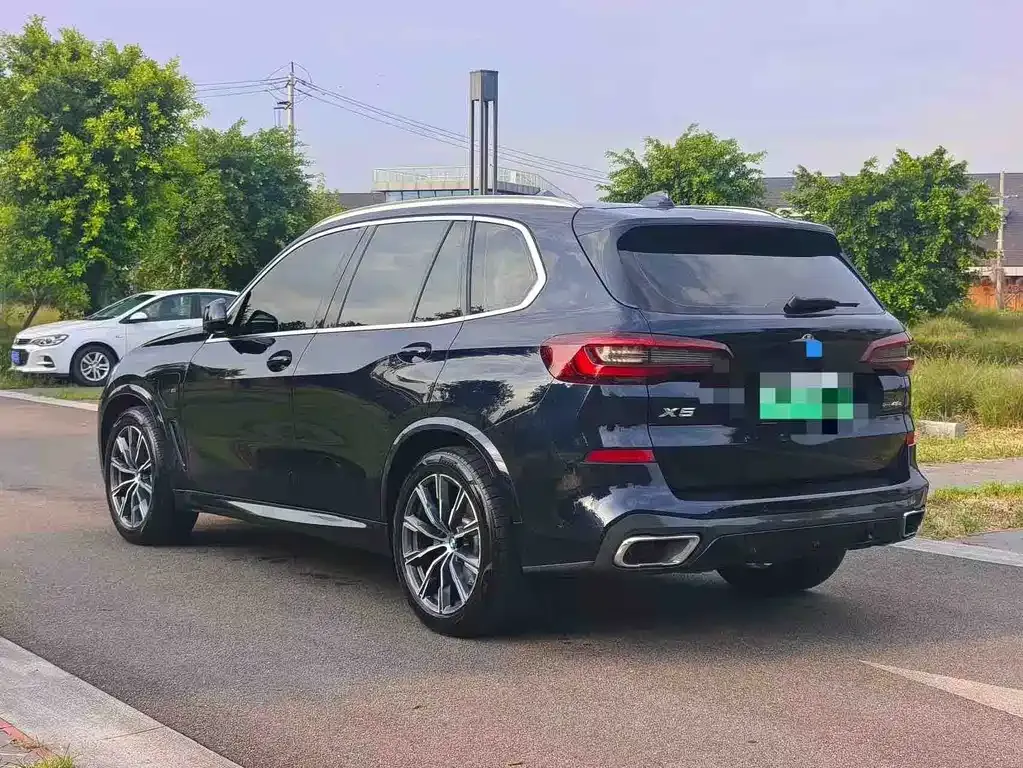 BMW X5 New Energy (Import) — фото 9