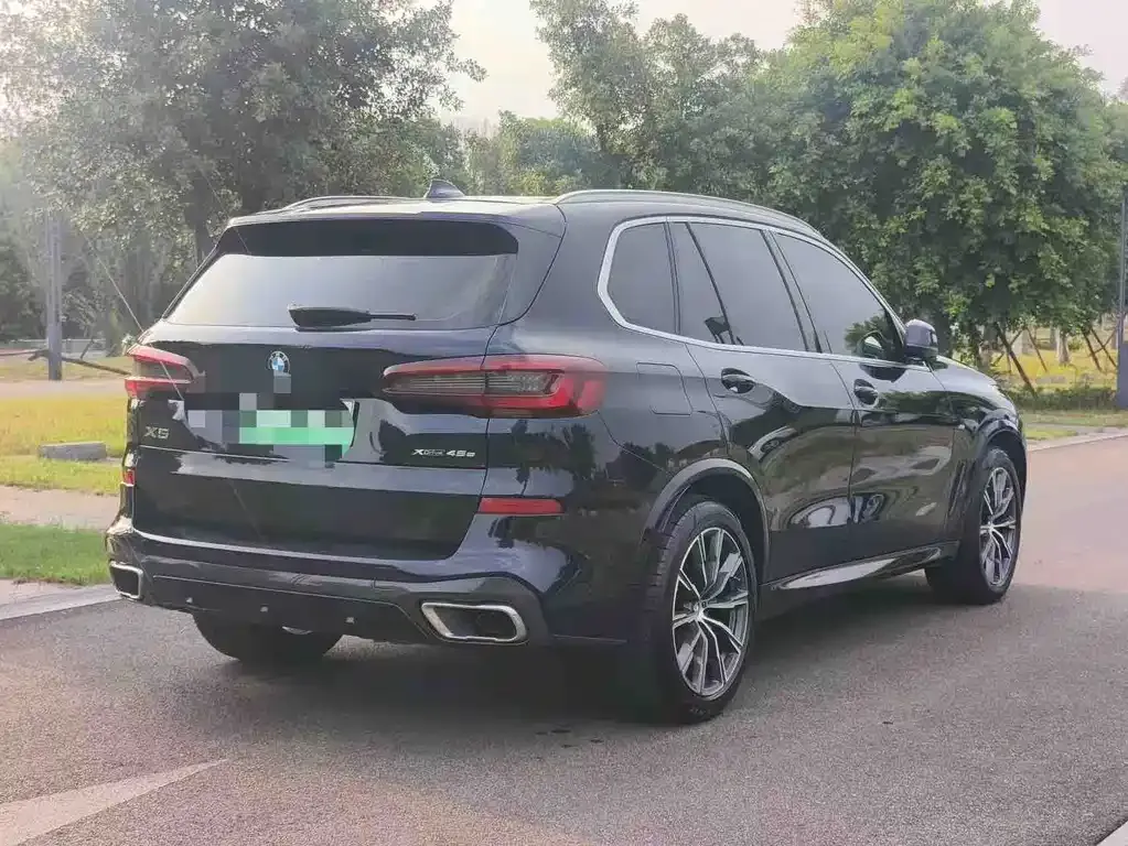 BMW X5 New Energy (Import) — фото 8
