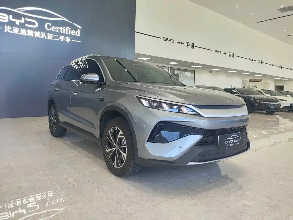 BYD Pro New Energy — фото 7