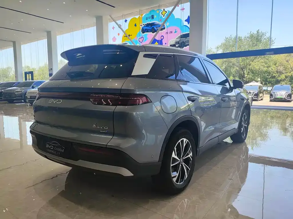 BYD Pro New Energy — фото 9