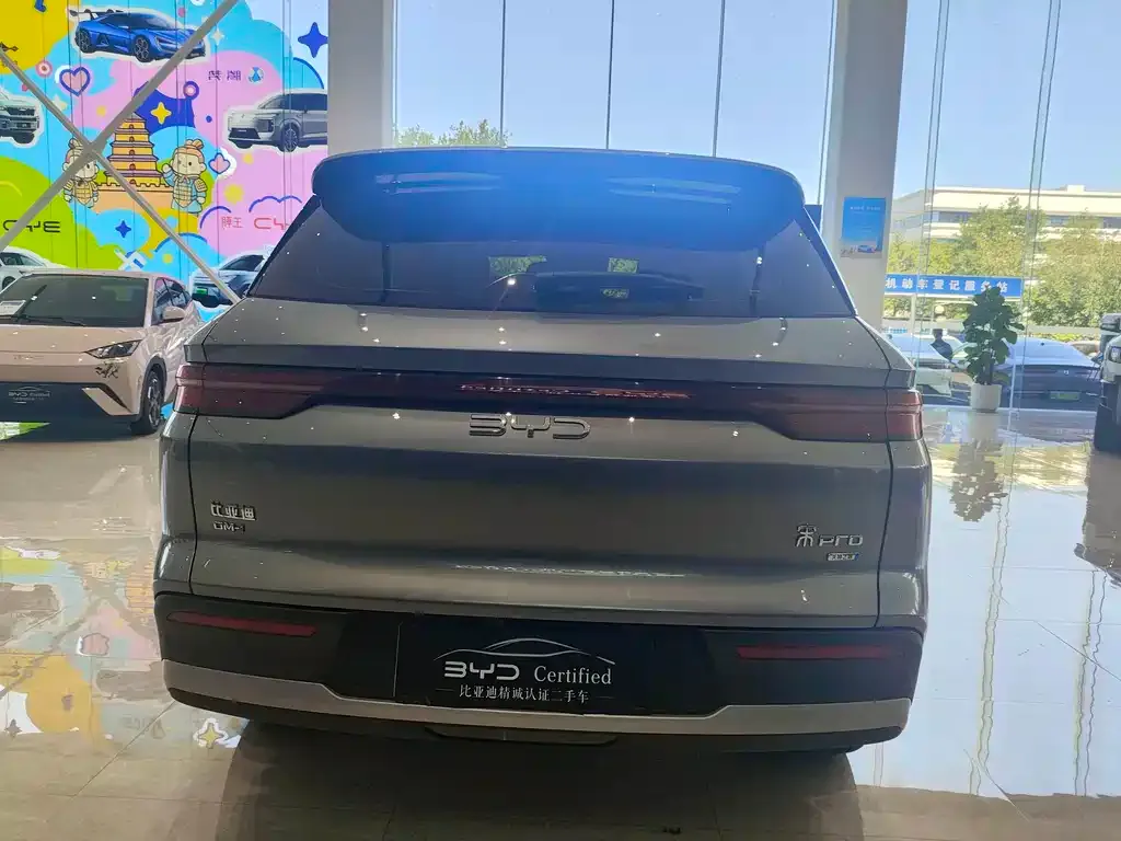 BYD Pro New Energy — фото 3