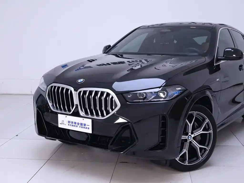 BMW X6 — фото 4