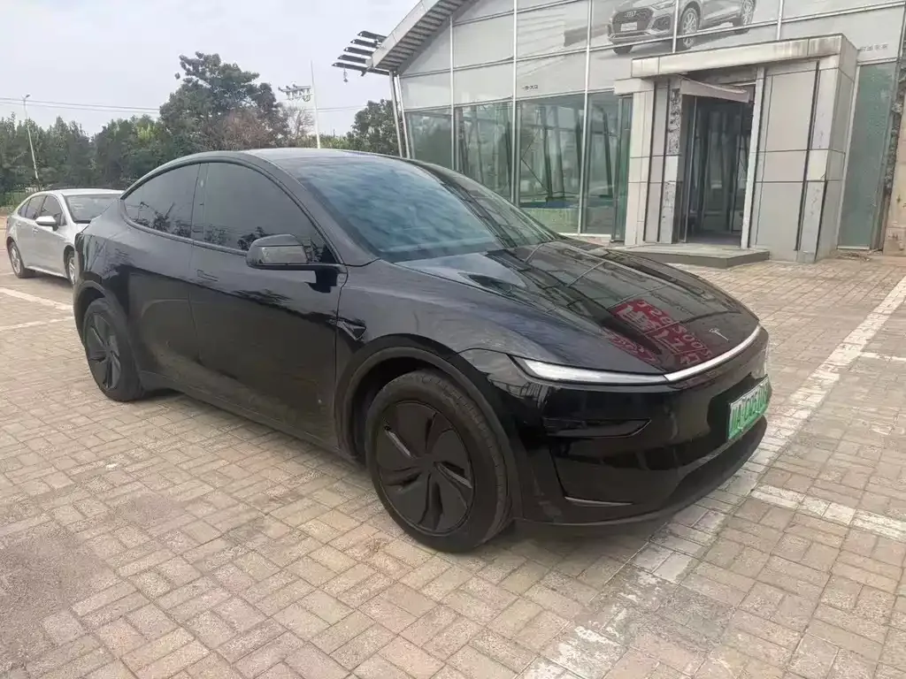 Tesla Model Y — фото 2