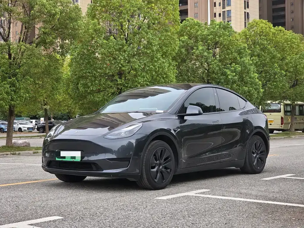 Tesla Model Y — фото 1