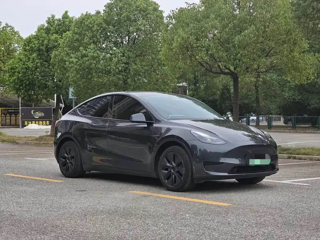 Tesla Model Y — фото 9