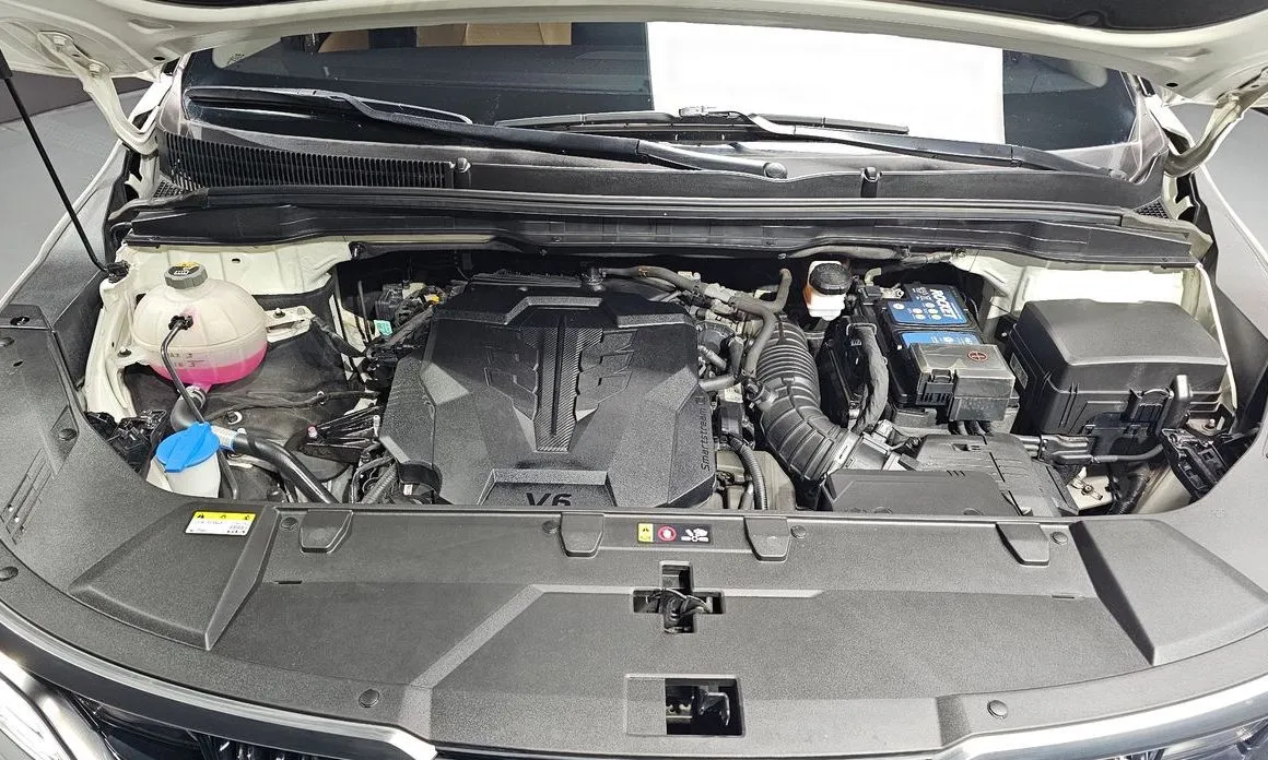 Kia Carnival — фото 10