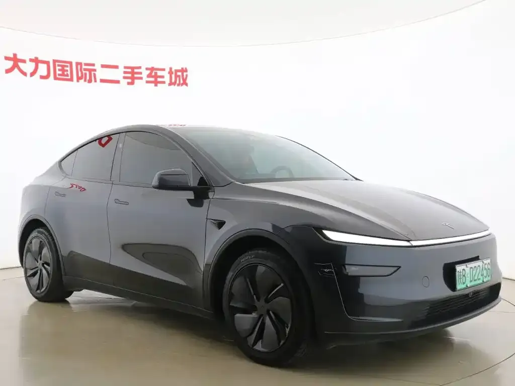 Tesla Model Y — фото 5