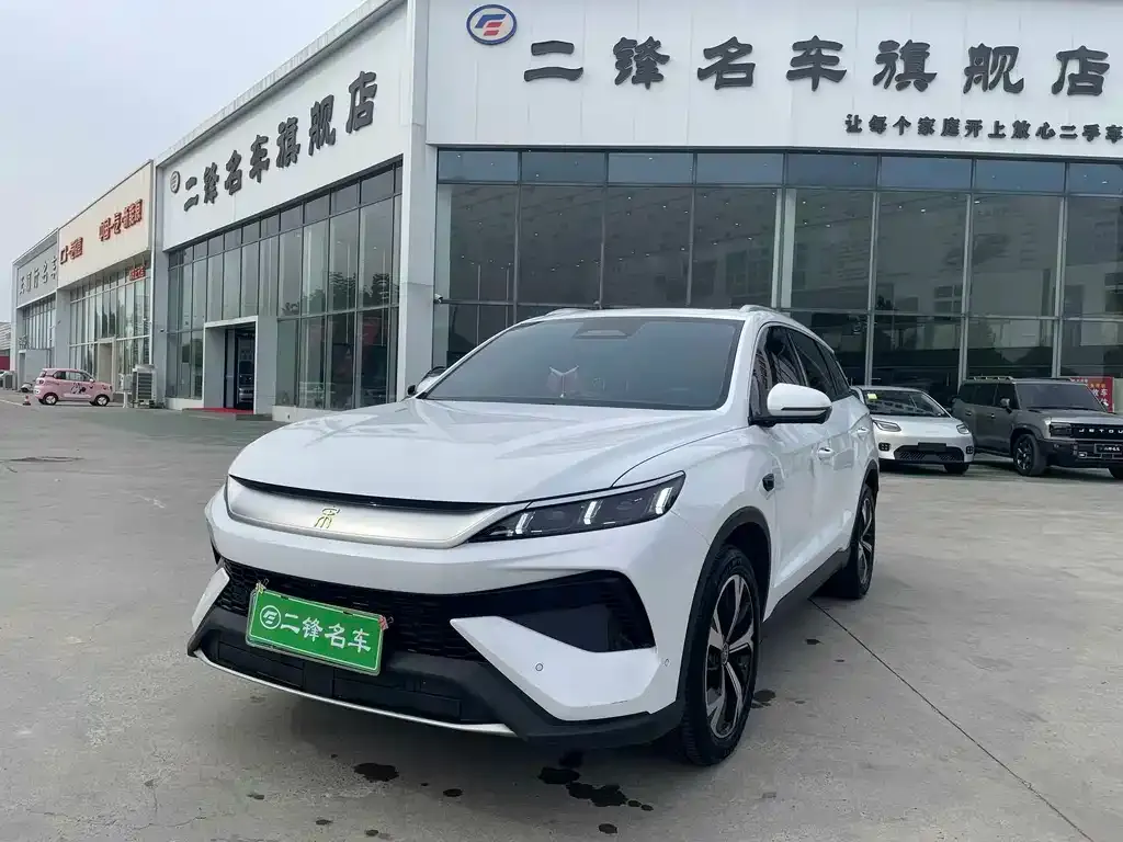 BYD Pro New Energy — фото 1