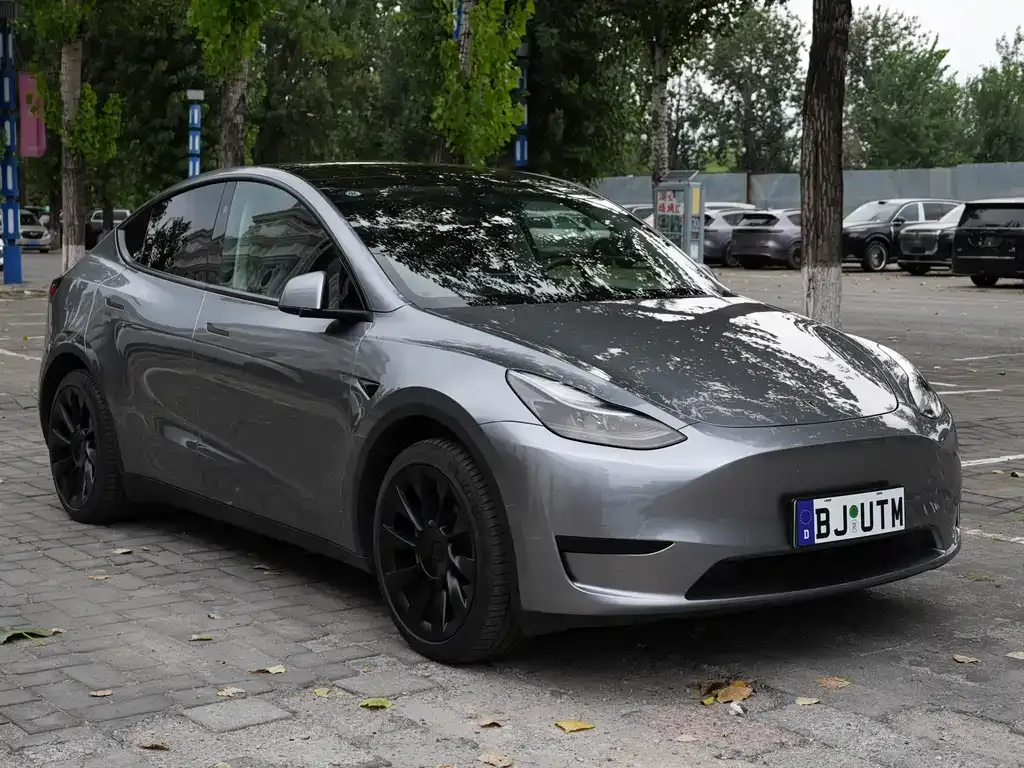Tesla Model Y — фото 3