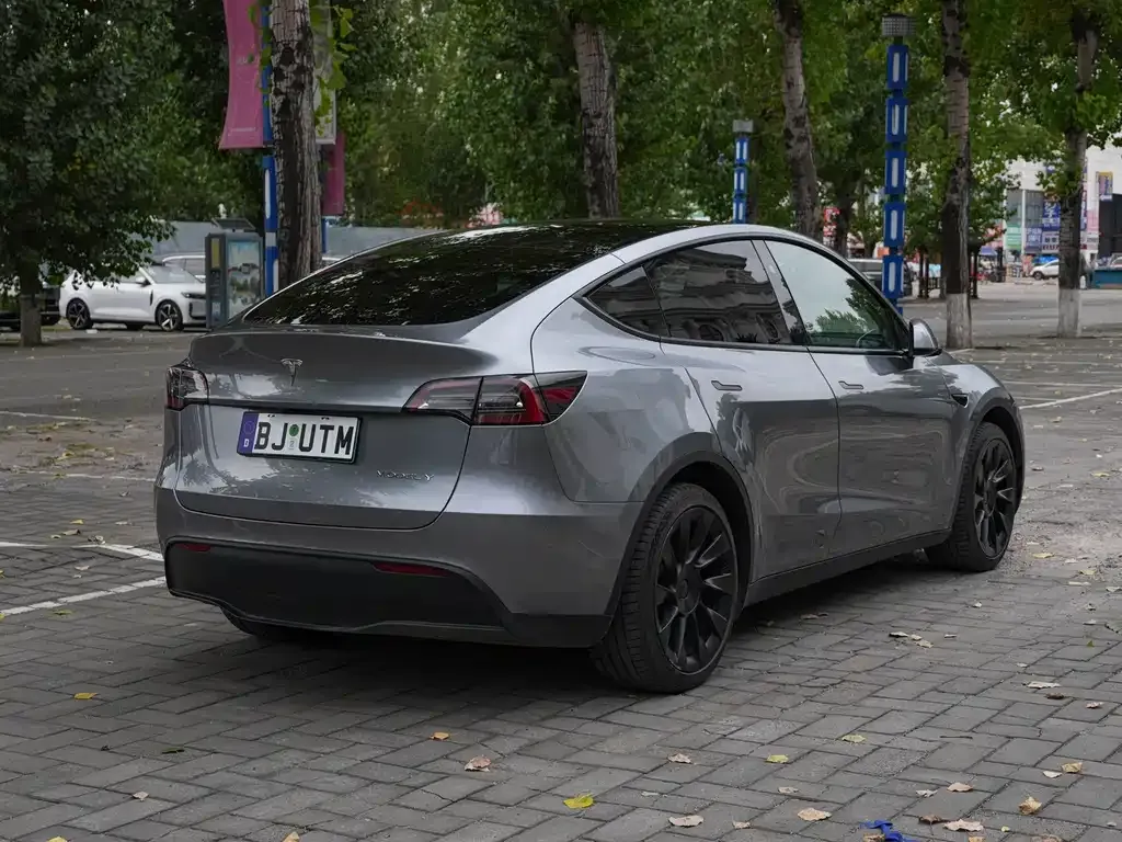 Tesla Model Y — фото 5