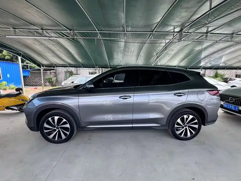 BYD PLUS New Energy — фото 3