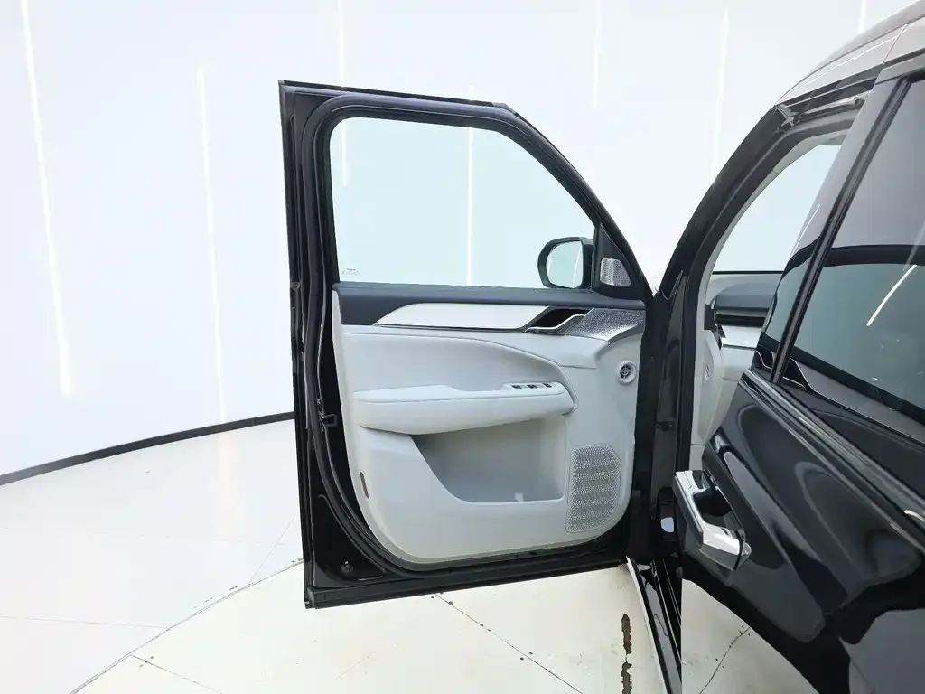 Volvo EM90 — фото 10