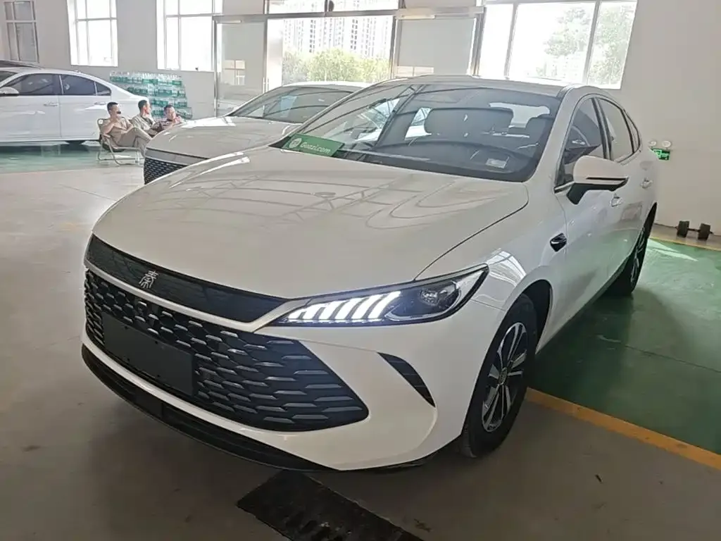 BYD Qin PLUS — фото 1