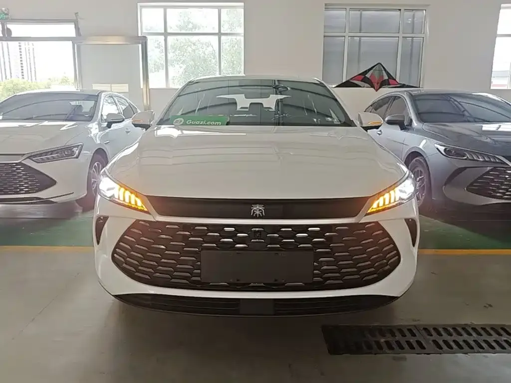 BYD Qin PLUS — фото 4