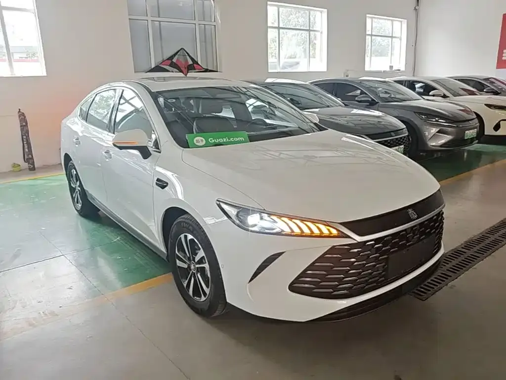 BYD Qin PLUS — фото 7