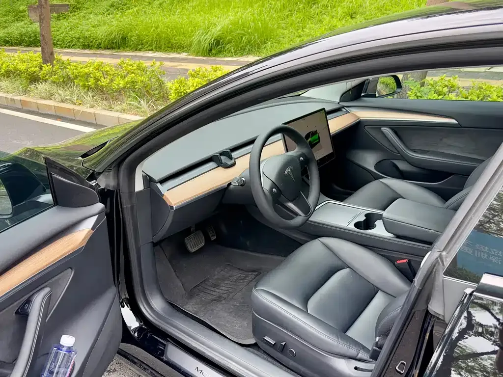 Tesla Model 3 — фото 3
