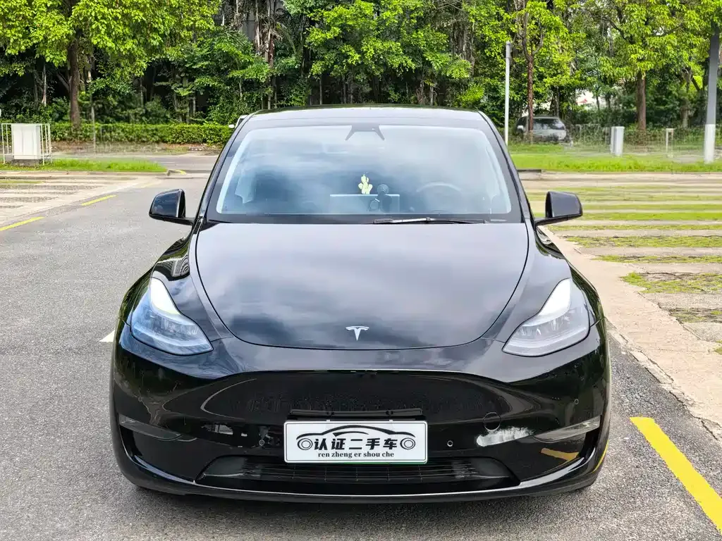 Tesla Model Y — фото 9
