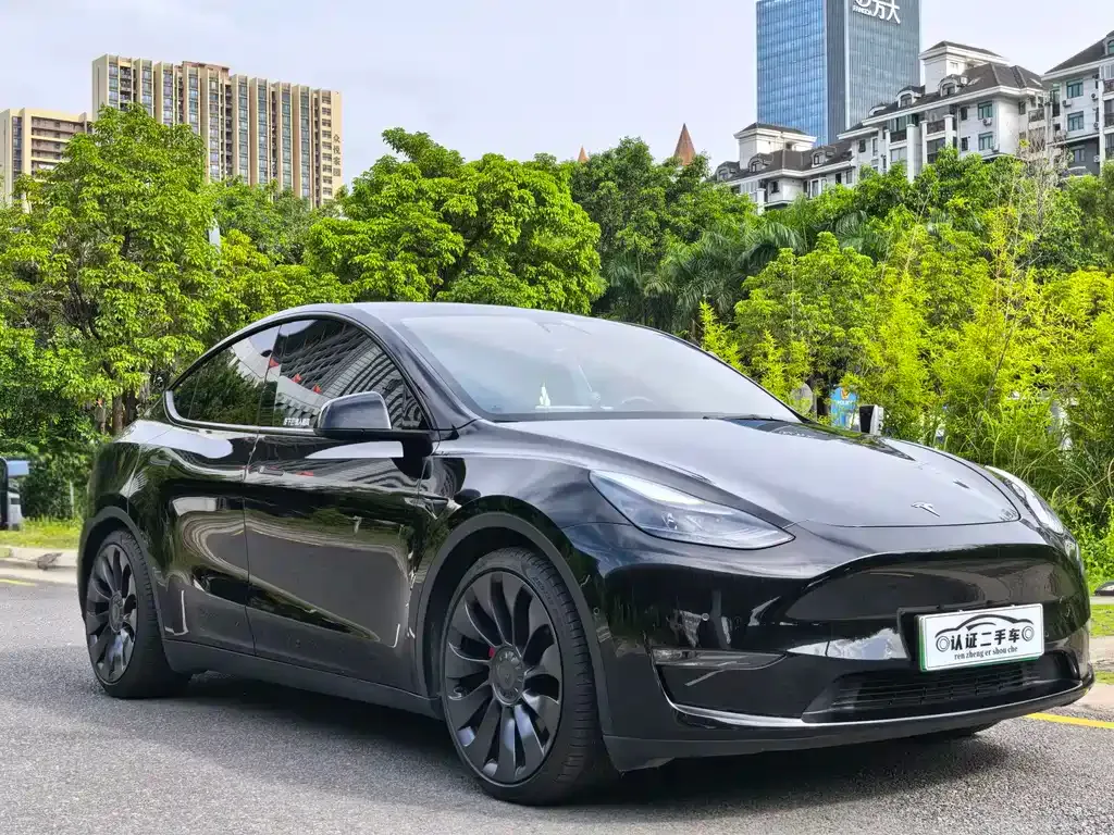 Tesla Model Y — фото 10