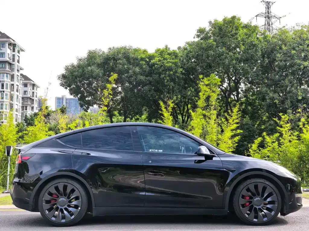 Tesla Model Y — фото 6