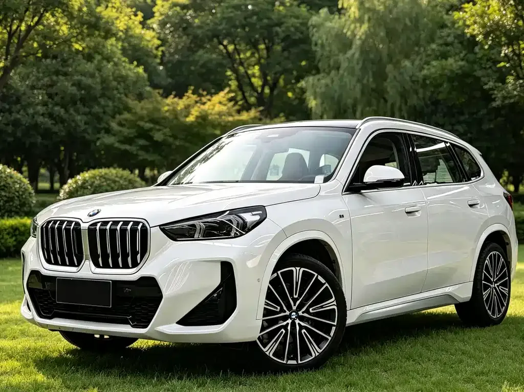 BMW X1 — фото 1