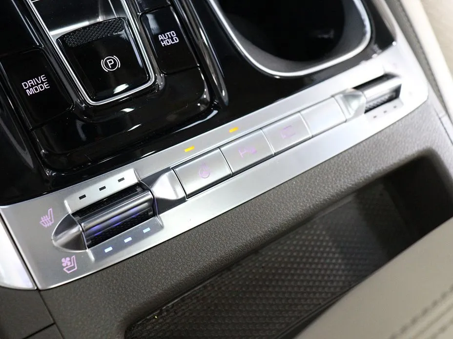 Kia Carnival — фото 10