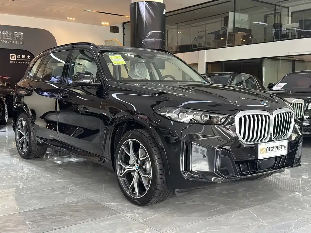 BMW X5 — фото 10