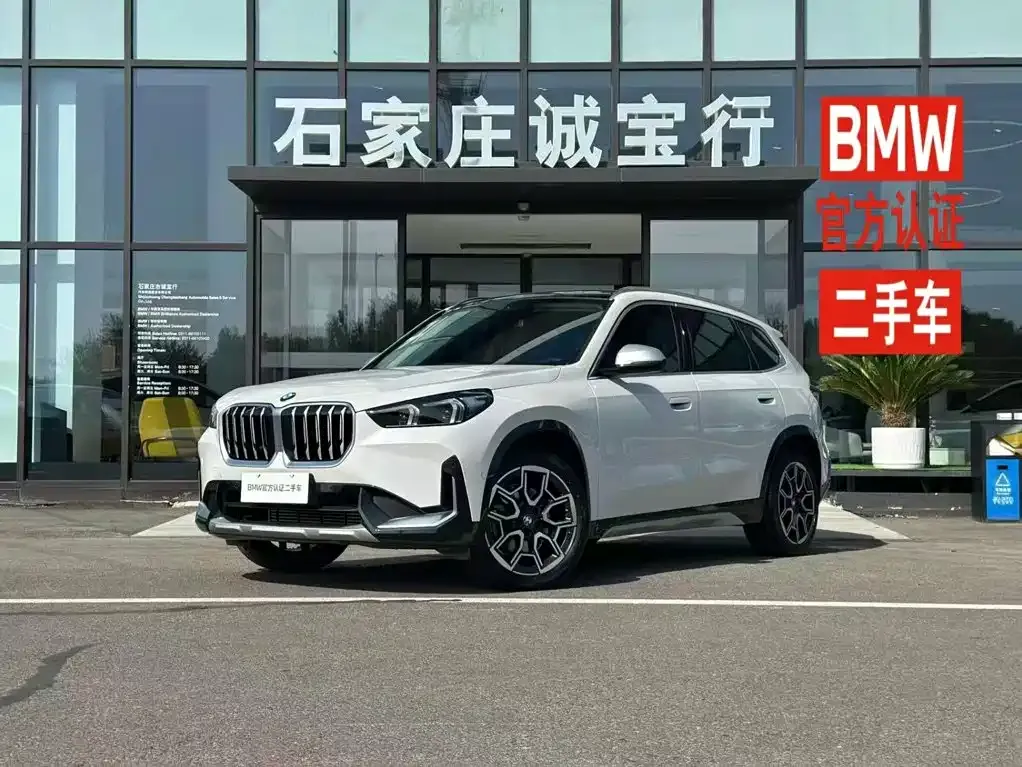 BMW X1 — фото 10