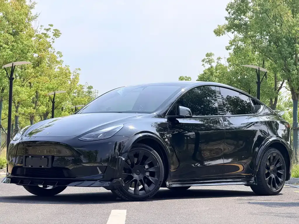 Tesla Model Y — фото 1
