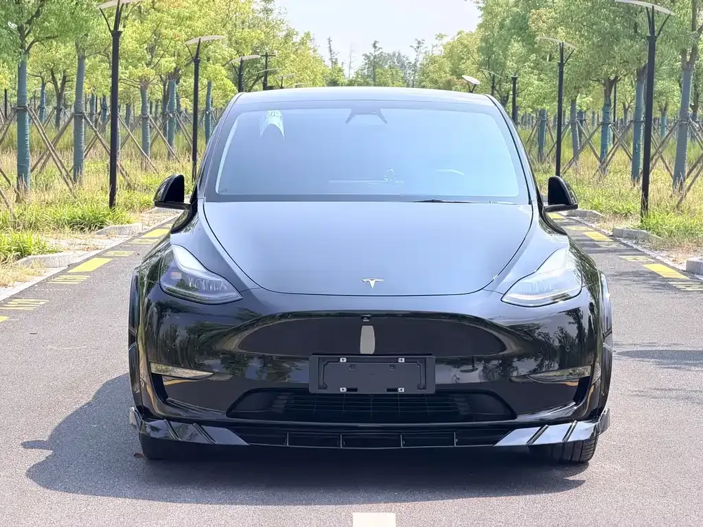 Tesla Model Y — фото 10