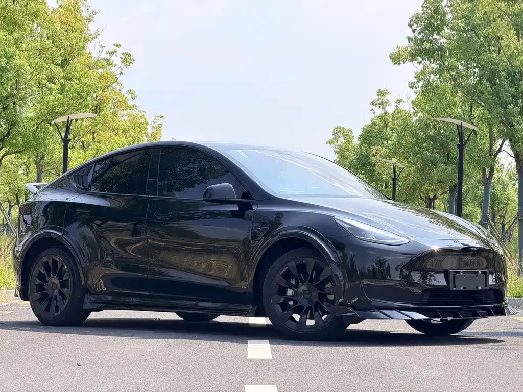 Tesla Model Y — фото 9