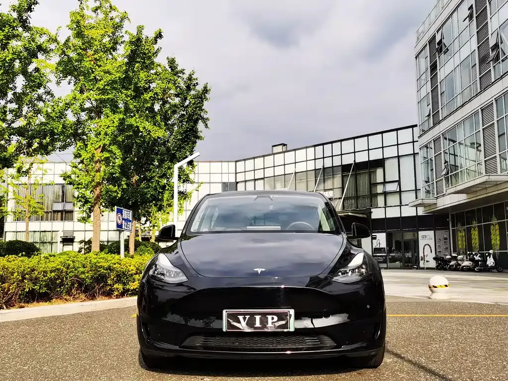 Tesla Model Y — фото 7