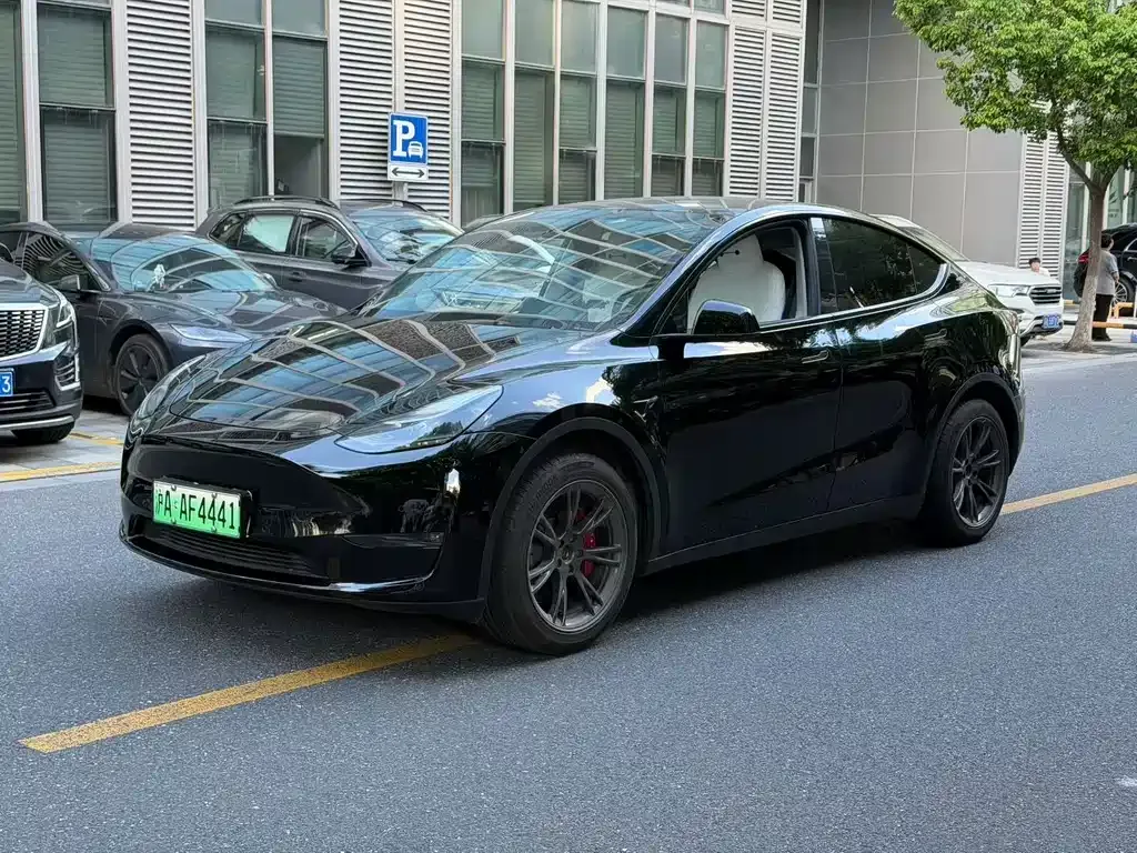Tesla Model Y — фото 1