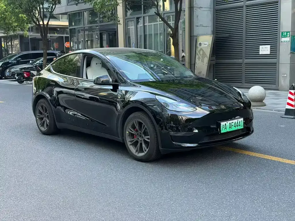 Tesla Model Y — фото 9