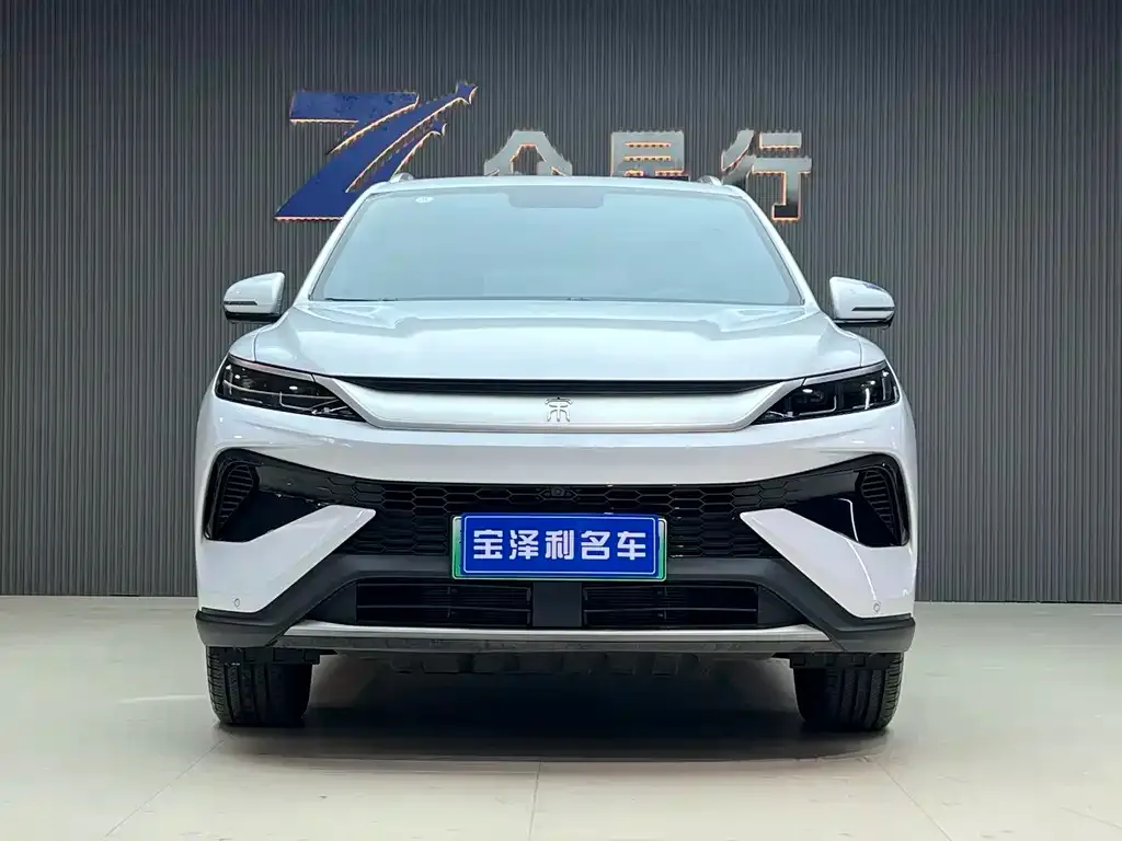 BYD Pro New Energy — фото 2