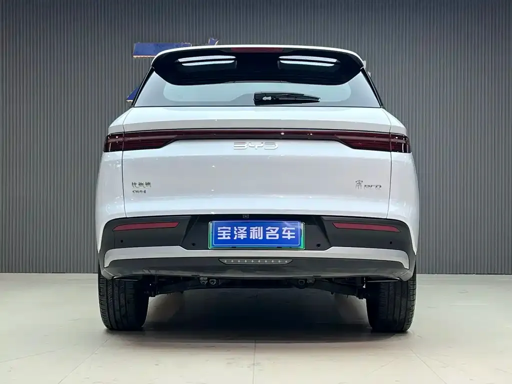 BYD Pro New Energy — фото 3